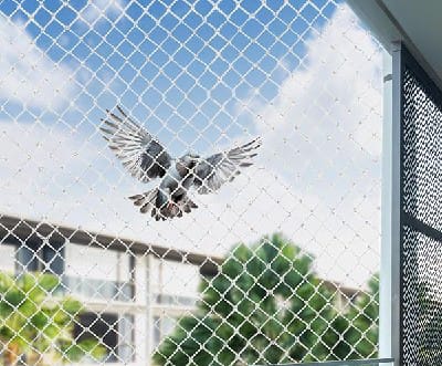 Protection & Effectiveness